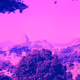 88757720568226029596562460439980572709159236811082638970353090345832529526785