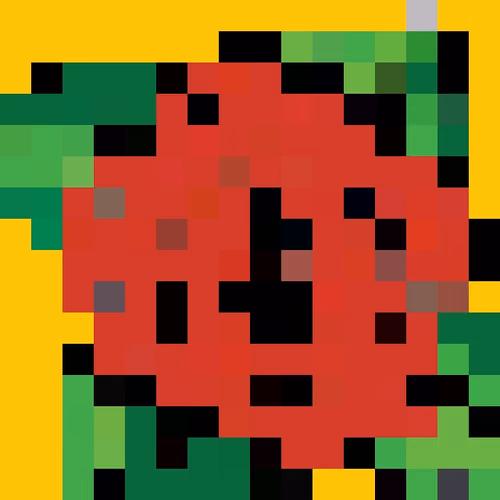PixelRose47