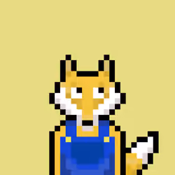 #7 Pixel Foxs