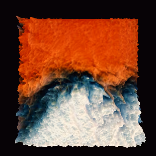 Item #22649125704269163094356241950234990423345502107031132782905603772601117704193 Media