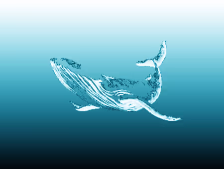 Item #104099004194732186528107260891908231378147874233508203101203207572016211165185 Media