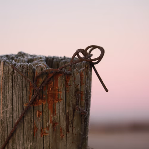 SoundingBoard Collection