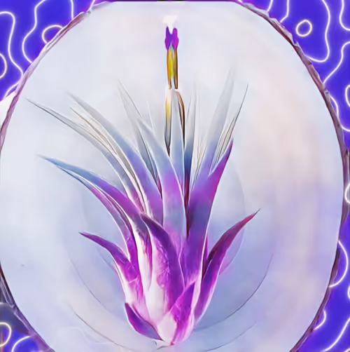 Item #8607677958191038044004830040679912821884152676576415147527513022266762854401 Media