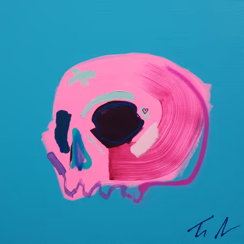 Memento Mori 100 Skulls By Tim Fowler
