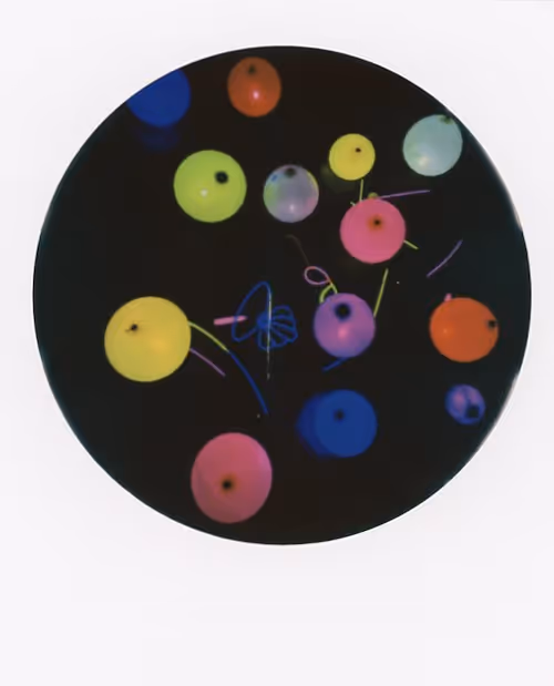 Item #103925043226850068411214111980778021596201122013188060205337914387301738217473 Media