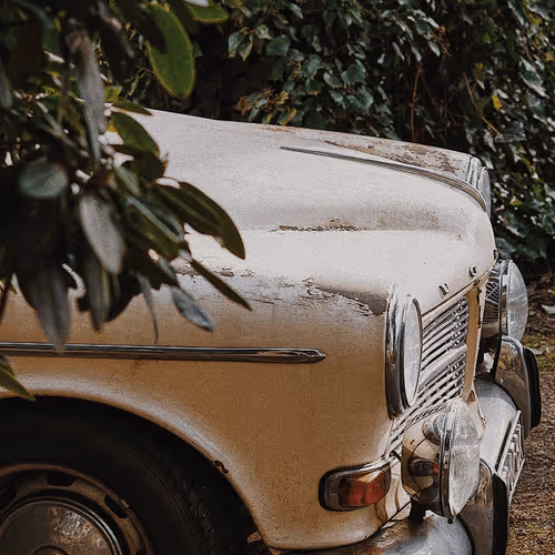 @jasmijnfotografeert 2021