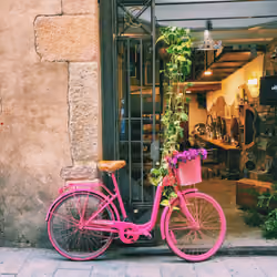 Pink Bicycle