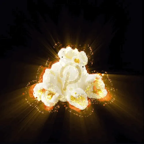 Item #36485824513700346925635491140101516969102708701637270493589642949817337380964 Media