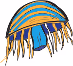 Item #114008008152738858439089017376869668929343649019793498668551632493407625019393 Media