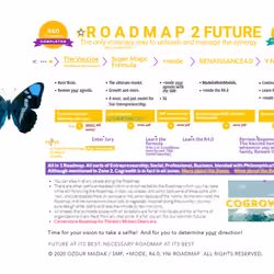 The Roadmap