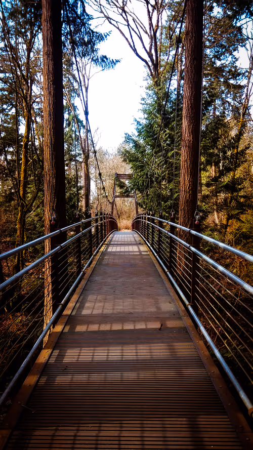 Item #57479553185220835653217369803526840732954430889242358118242524198973644734465 Media