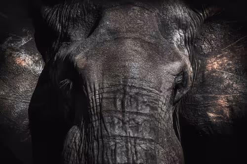 Item #46146454175190830687847236221543248864679735900060228179798027768203881480193 Media