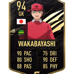 Wakabayashi