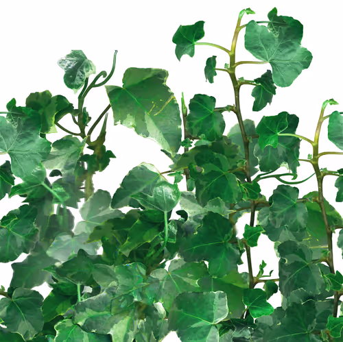 Item #86557912818240778060873576811473498554529608658908516989609402619484998467585 Media