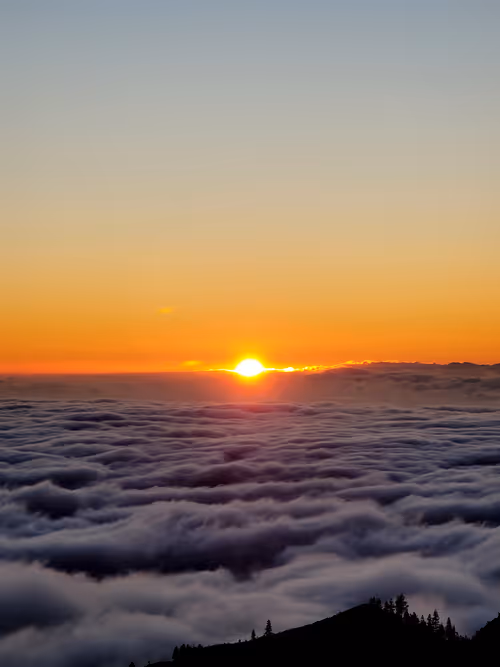 Item #75874531896804893582892782623293551325574357428734727930455651144479751013352 Media