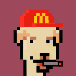 Punkdog#245