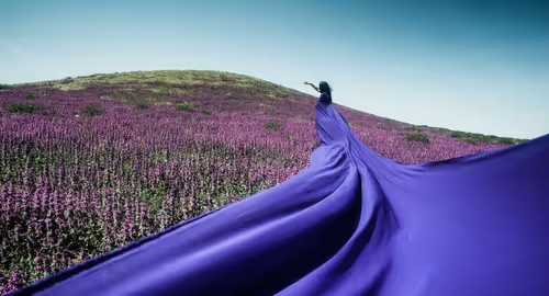 Item #78738558394879565749295301770975625214035895041037527328958806091041945419777 Media