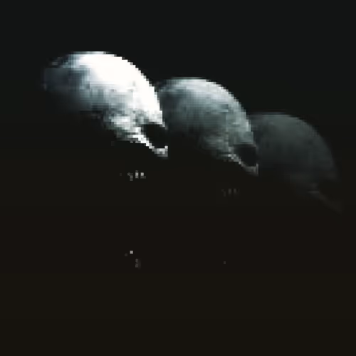 Nighterror IAvNlzQza1