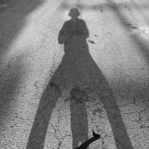 Item #56431751608181922231259635946092067407977788553703326303680802290959525085185 Media