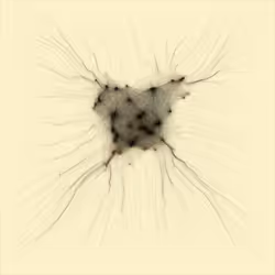 74011109513159304894558377152860080667648997857135590135513699195642642956289