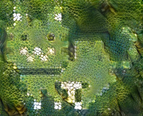 Item #113587793942237428958659495632954364747743428763295265703831705163491174252545 Media