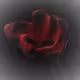 78366509980633589708826493393241254860033787619881410186341736615106070970369