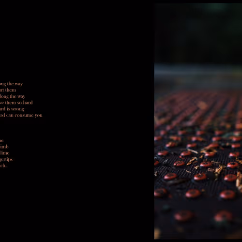 107893354467280831285173004603476798979518626988074565448392798024644775903233