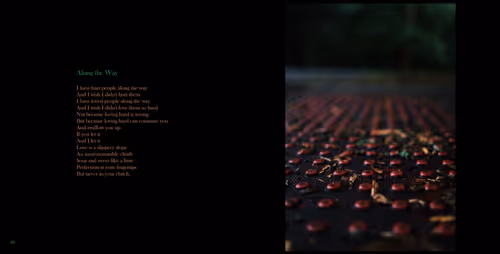 Item #107893354467280831285173004603476798979518626988074565448392798024644775903233 Media