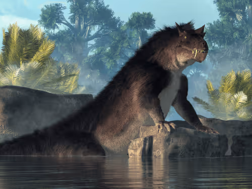 Item #15201862250514145958676777466825728141953005429687029988591517155759216394241 Media