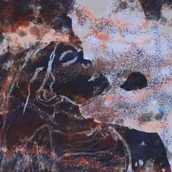 Ghosting