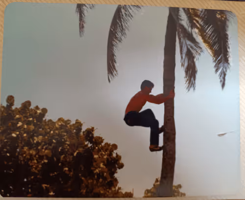 Untitled Collection #210926310