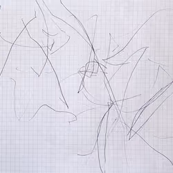 The first drawing 