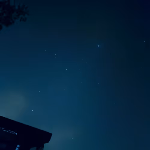 Ryannnn32 Collection