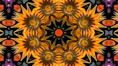 Item #114567358423953626281537788403819853891642458412316118477611090121805950615553 Media