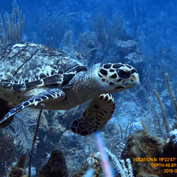 80965803268169370603932631570667161375508893671094224909166964030355412090881