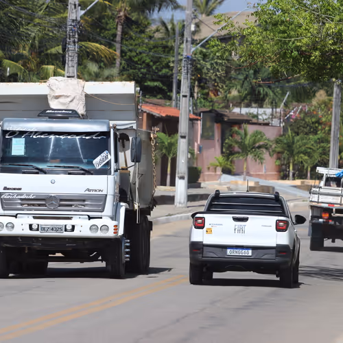 Untitled Collection #241614659