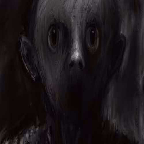 KANDROO Collection - old