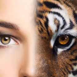 The inner Tiger #2
