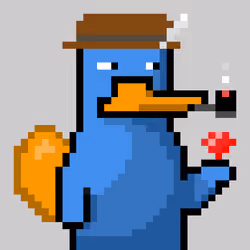 Platy Punk #2980
