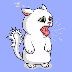 E-Nuan Cat #03