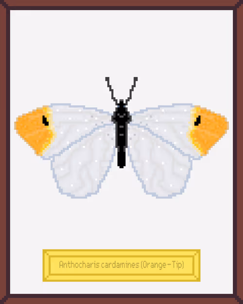 Item #99944933364211782028652678854730295040838579789766917923662069211638439870465 Media