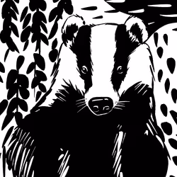 Badgers #04
