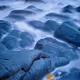 Vieri Bottazzini | Shades Of Blue