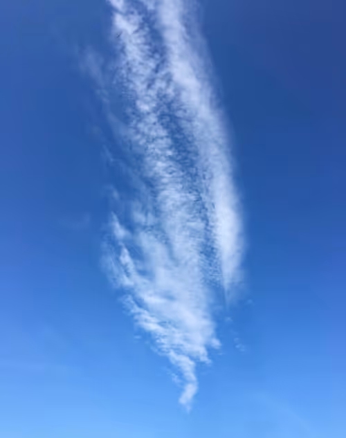 Item #1100789568959586576831595969413836830497931375394275739219669078712923455489 Media