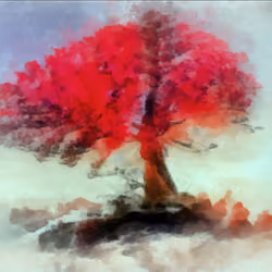 Flamboyan, the red tree.