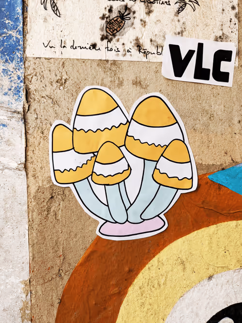 Item #74514486366930999863183303937488495413909095535195909856011804940283286650881 Media