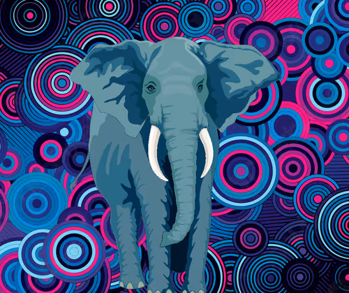 Item #107579162152904856269383634079662811571256785376160039171717692795868319580161 Media