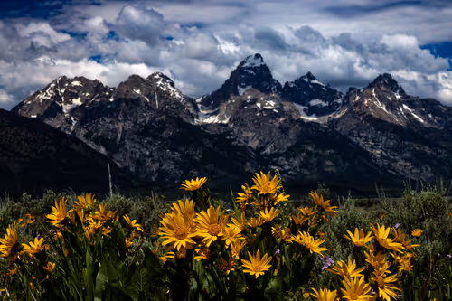 Item #15297189145007819332952477315735476032529554073284948694775240688235968462849 Media