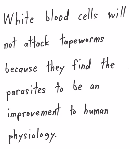 Item #56836866372284245272053052741954891273425498214946692072436554054501845172225 Media