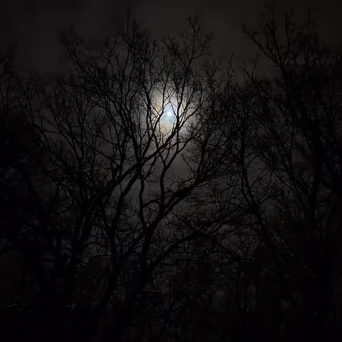 21294356908330268948871406021368473872200119410415522560443107936511562088449